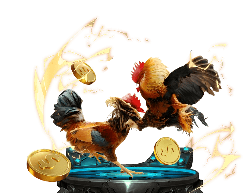 Xổ số và Đá gà tại Sinbet