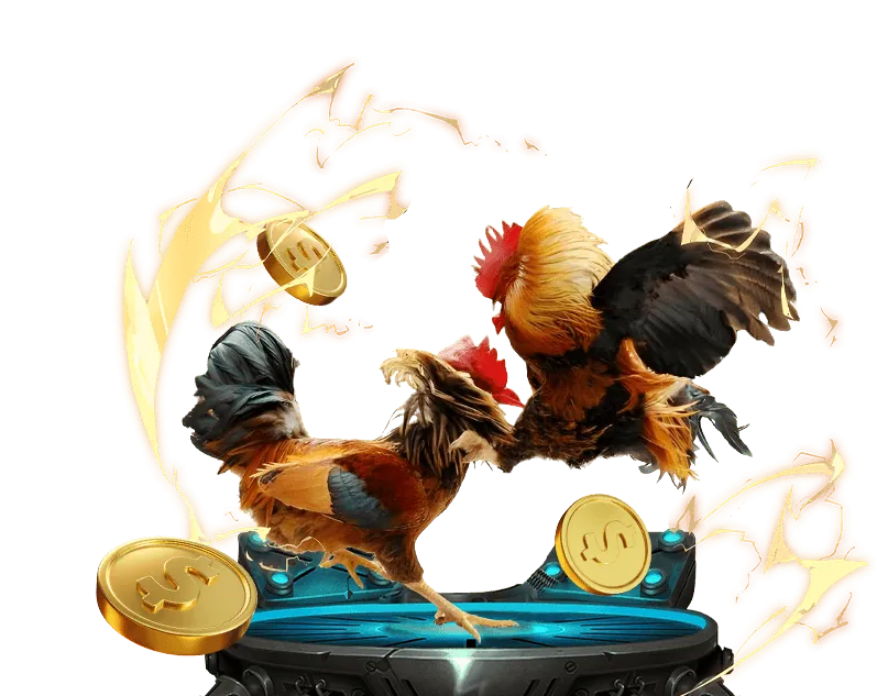 Xổ số và Đá gà tại Sinbet